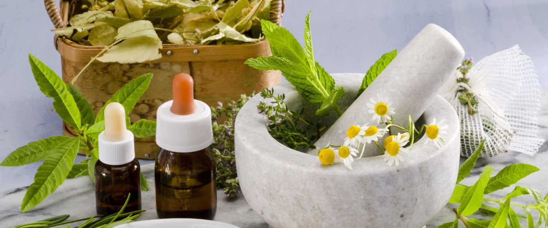 Exploring the Health Benefits of Herbal Remedies